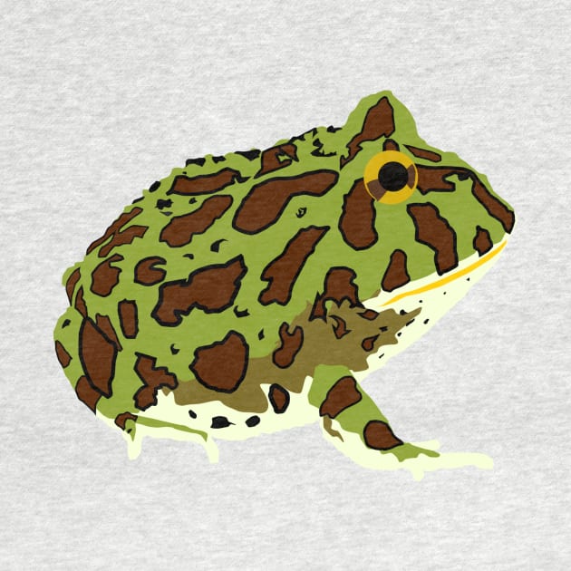 Ornate Pacman Frog by stargatedalek